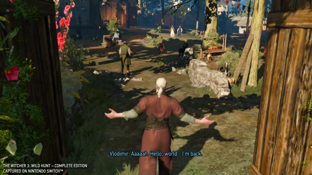 Screenshot of The Witcher 3: Complete Edition running on Nintendo Switch.