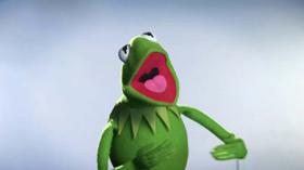 《大青蛙布偶秀》：科米蛙将换表演者 (新闻 大青蛙布偶秀)