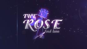 《The Rose》中文版测评 (评测 The Rose)