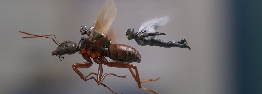 《蚁人2》北美首周成绩将超前作，仍为MCU垫底 - 蚁人2：黄蜂女现身